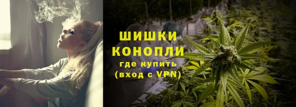 трава Арсеньев