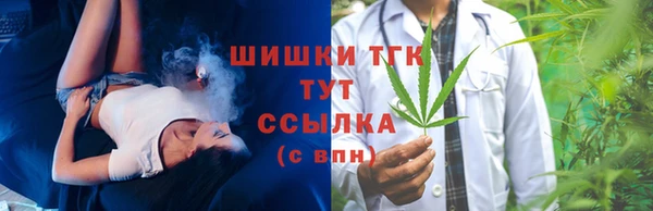 spice Аркадак