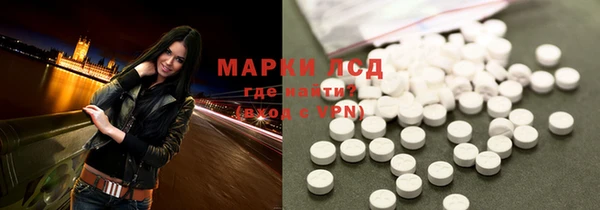spice Аркадак