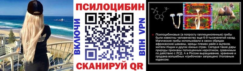 omg онион Макаров Псилоцибиновые грибы мицелий